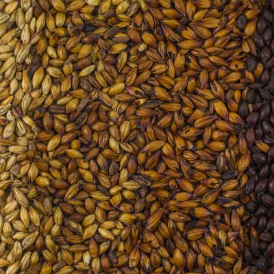 Malta: Aporte de sabor, color y aroma a la cerveza