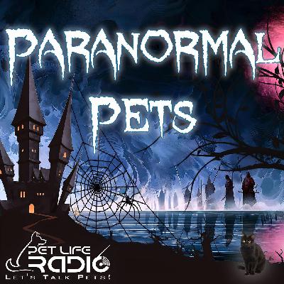 Paranormal Pets - Episode 134 Hearse of a Different Color: Red Rides & Restless Spirits - A Halloween Potpourri Paranormal Pets - Episode 134 Hearse of a Different Color: Red Rides & Restless Spirits - A Halloween Potpourri