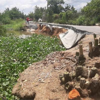 Boss Borak Ep07: Ramai MENTALITI MISKIN?! Orang KAYA ambil hak B40!