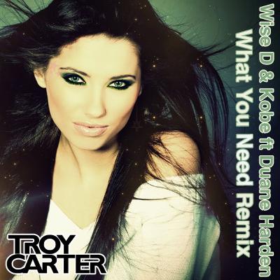 Wise D & Kobe ft Duane Harden - What You Need Remix (Troy Carter Mashup)