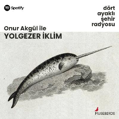 Yolgezer İklim - Onur Akgül | Zirvelerde Oturup Kalmışlar: Sergüzeşt-i COP30 - 1
