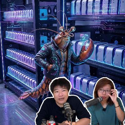 火遍全网的养龙虾到底是什么?详细拆解OpenClaw 火遍全网的养龙虾到底是什么?详细拆解OpenClaw