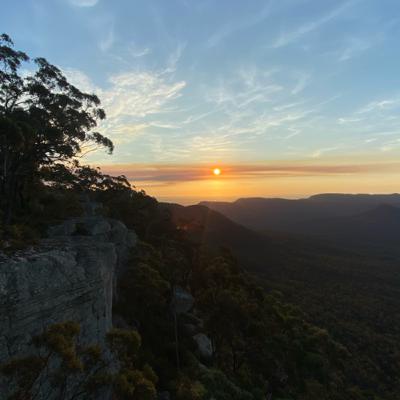 EP 1. Intro to Wild Beings Podcast w Eva Angophora EP 1. Intro to Wild Beings Podcast w Eva Angophora