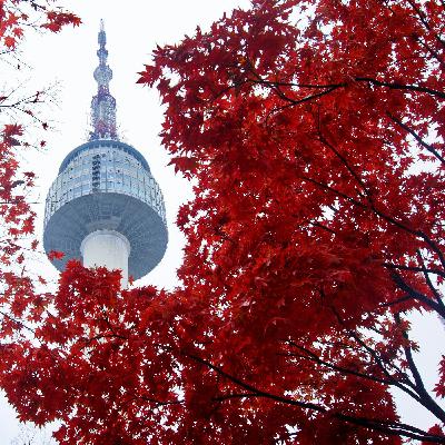#9 韓国で仕事をしながら、現地の若者たちと交流する方法