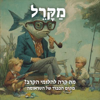 מה קרה להלומי הקרב? מקום הכבוד של הטראומה