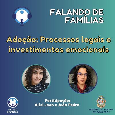 Adoção: Processos Legais e Investimentos Emocionais