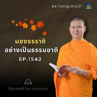 MT1542 มองธรรมชาติ อย่างเป็นธรรมชาติ | พระไตรปิฎกยามเช้า EP.1542 14/06/68