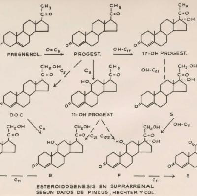 Ep 45: The History of the Pill