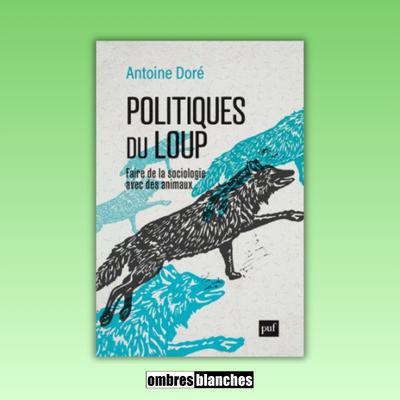 Antoine Doré → Politiques du loup. Faire de la sociologie avec des animaux