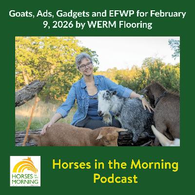 Goats, Ads, Gadgets and EFWP for February 9, 2026 by WERM Flooring Goats, Ads, Gadgets and EFWP for February 9, 2026 by WERM Flooring