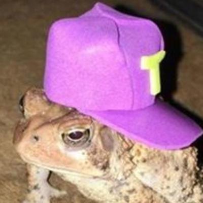 Purple Politics