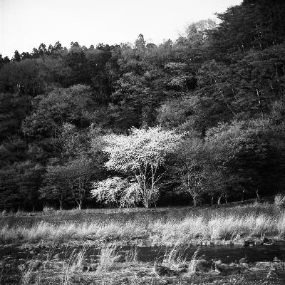 #17-1 『庭の話（宇野常寛）』読書会 / あわいを紡いでいく豊かさ
