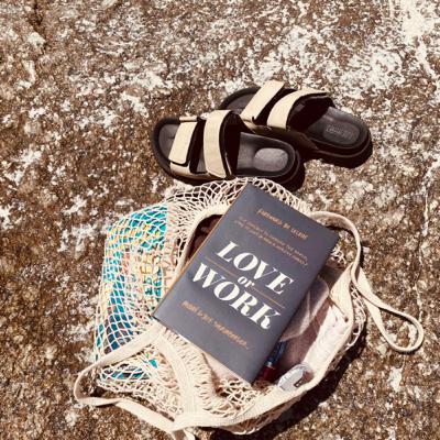 Reviewing: Love or Work by Andre and Jeff Shinabarger.