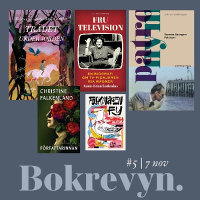 #5 Tv-stjärnor, verklighetslitteratur och fria fantasier