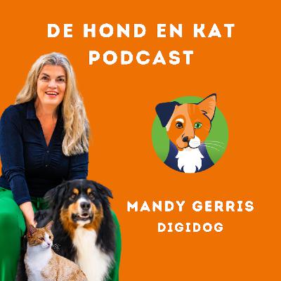 Die angst van de honden-eigenaar -> Over tekorten bijvoorbeeld