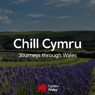 Peaceful lavender farm meditation - Cefnperfedd Uchaf, Abergavenny
