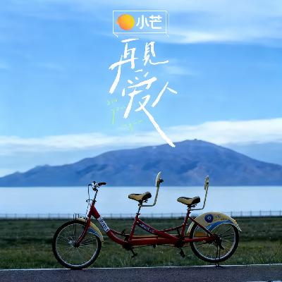 v10.《再见爱人5》深度聊：两对夫妻的相处困局与情感真相