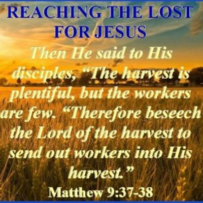 Heart of Jesus (Matthew 9:35-38)