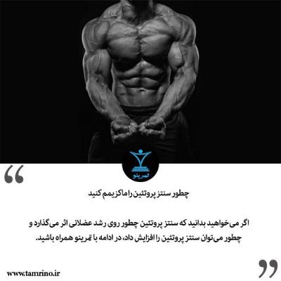 راهنمای کاربردی افزایش سنتز پروتئین