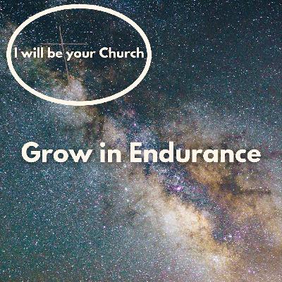 Ep 114: Grow in Endurance Ep 114: Grow in Endurance