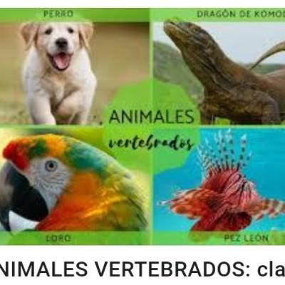 Animales vertebrados