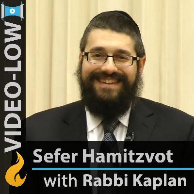 Daily Mitzvah, Day 220: Ritual Impurity of Sheratzim, Part 2 Daily Mitzvah, Day 220: Ritual Impurity of Sheratzim, Part 2