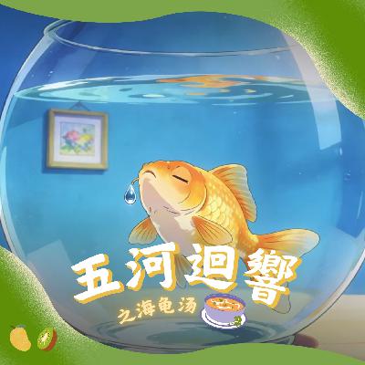 SE3: 动物园海龟汤——鱼喝完水淹死了