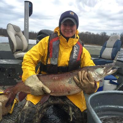 Walleye over Fluffy Black Bears