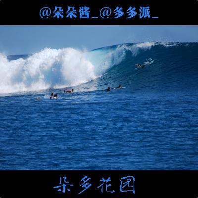 08.罪案十分钟|老布的奇幻漂流