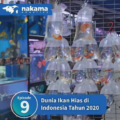 Eps 9 : "Dunia Ikan Hias di Indonesia Tahun 2020" Eps 9 : "Dunia Ikan Hias di Indonesia Tahun 2020"