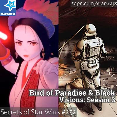 Visions, Ep. 26 & 27 – Bird of Paradise and Black Visions, Ep. 26 & 27 – Bird of Paradise and Black
