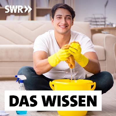 Männer und Hausarbeit – Zwischen Wollen und Wirklichkeit