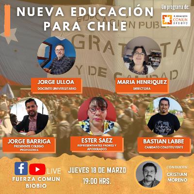 Educación publica y nueva constitución