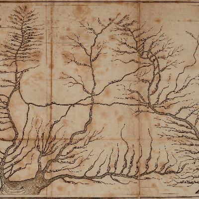 Abolitionist Ideas: Battling the Slave Trade in Britain