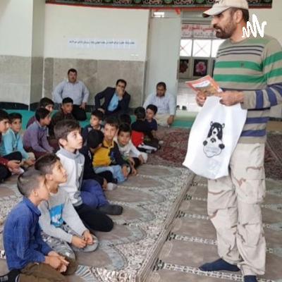 گربه‌؛ هر سه گزینه