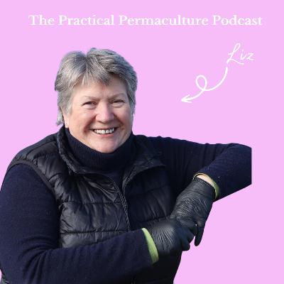Growing, Adapting & Thriving with Liz Zorab
