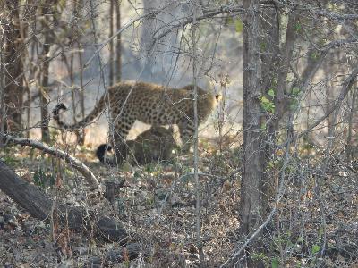 More Than a Story: How a Shift in Perspective Changed Everything for a Struggling Young Man.