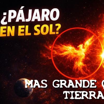LOS DESVELADOS - CAPTAN CERCA DEL SOL UN PAJARO DE FUEGO MAS GRANDE QUE LA TIERRA