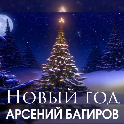 Арсений Багиров. Новый год