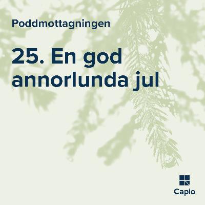 25. En god annorlunda Jul? 25. En god annorlunda Jul?
