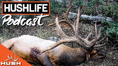 THE UNTOLD DETAILS OF THE FIREBULL