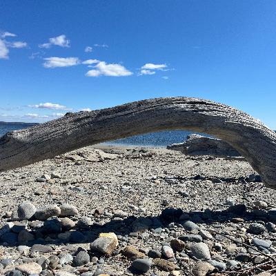 Quick Question Quick Question