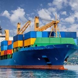 Smooth and Secure Pet Transport Navigating the UK with Ease