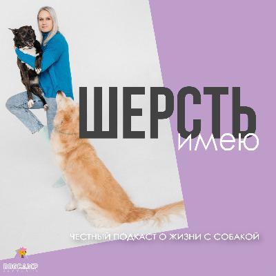 Выпуск о собаках-проводниках и их помощи слабовидящим людям.
