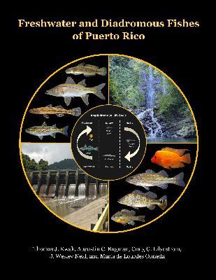 Book preview - Fishes of Puerto Rico Book preview - Fishes of Puerto Rico