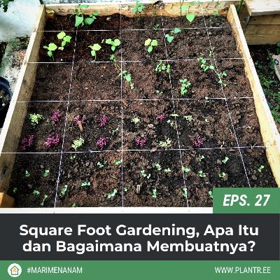 MM 27: Square Foot Gardening, Apa Itu dan Bagaimana Membuatnya?
