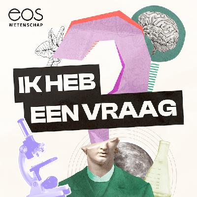 Hoe maak je het perfecte bos? - Ik heb een vraag