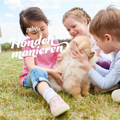 Afl. 19: Zo weet je of jouw kind veilig met de hond kan gaan lopen!