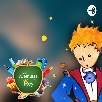 El Principito. Capítulo 6.