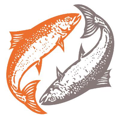 RIgor Mortis. La mafia del beber